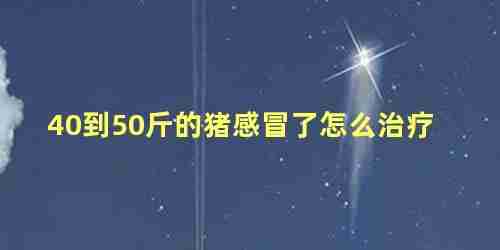 40斤小猪一天吃多少(四五十斤的猪一天喂几次)